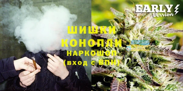 соль ск Белокуриха