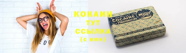 соль ск Белокуриха