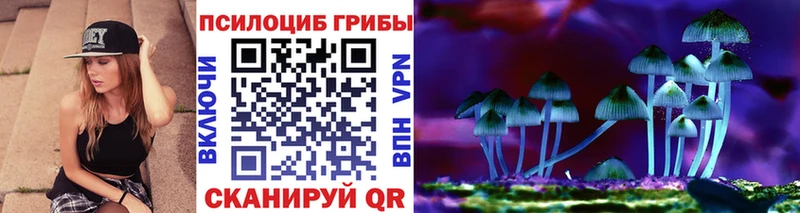 блэк спрут tor Тюкалинск Псилоцибиновые грибы мицелий
