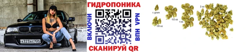 Канабис AK-47 Тюкалинск